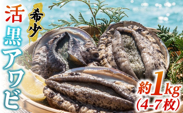 人気 うに ウニ 雲丹  新鮮 海鮮 特産品 贈り物 ギフト   魚介 ごはんの