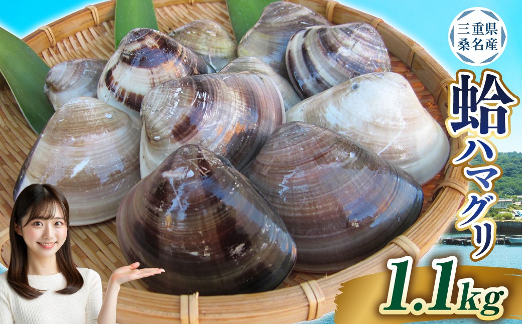 丸元水産 桑名産蛤 （ハマグリ） 1.1kg