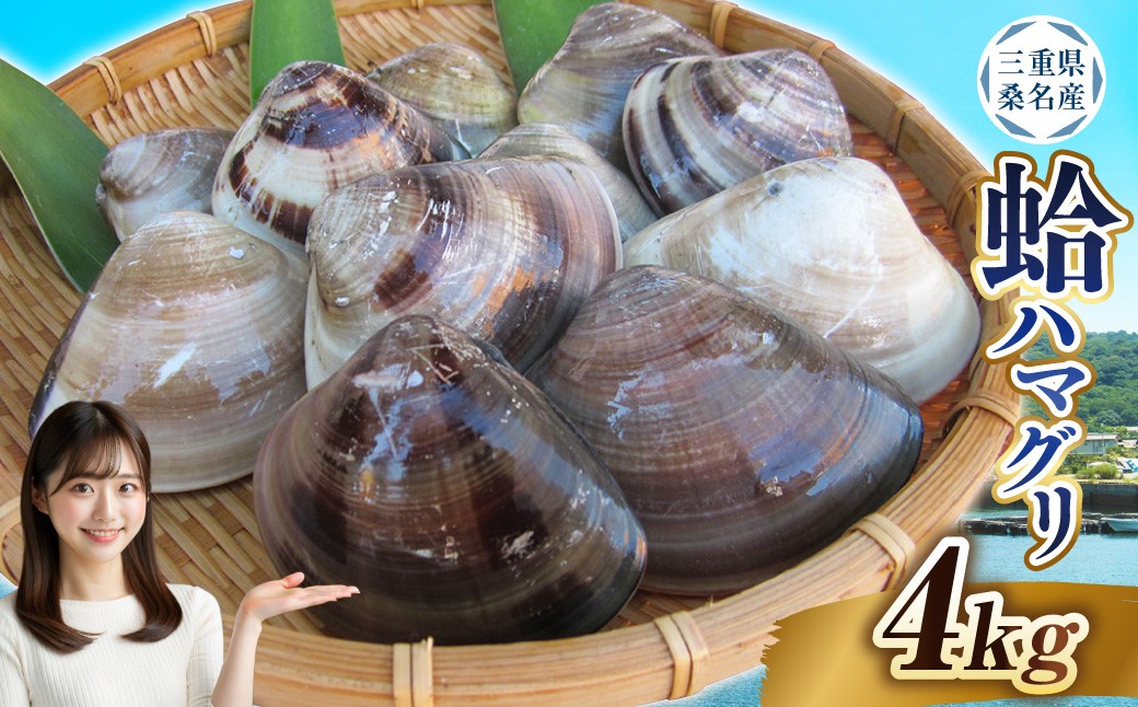 桑名産蛤（ハマグリ） 4.0kg