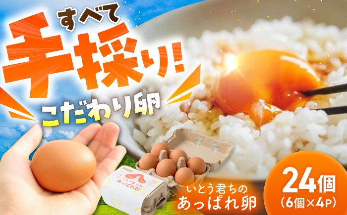 【うみたて新鮮】いとう君ちのあっぱれ卵 24個（6個×4パック）ギフトBOX 卵 たまご パック卵 鶏卵