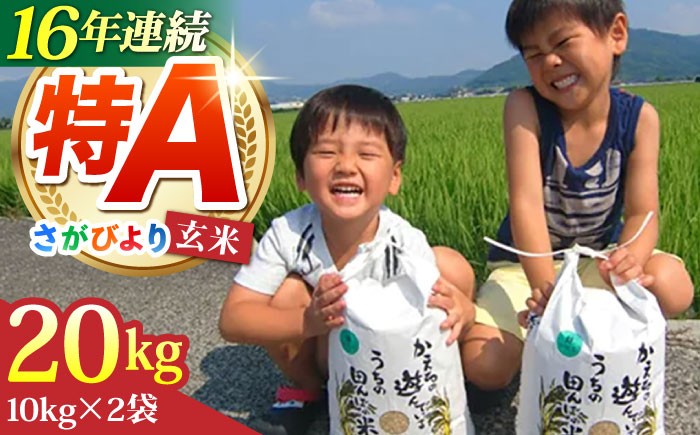 さがびより 玄米 20kg ( 10kg×2袋 ) 【ひなたむらのお米】 [HAC005] 米 佐賀 佐賀県産 特A評価 玄米