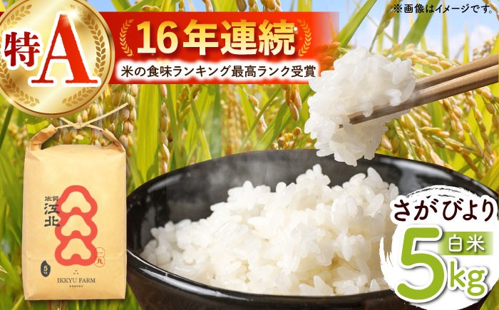 【ご飯でご飯が食べられる！】さがびより 白米 5kg（一等米）【一九FARM】