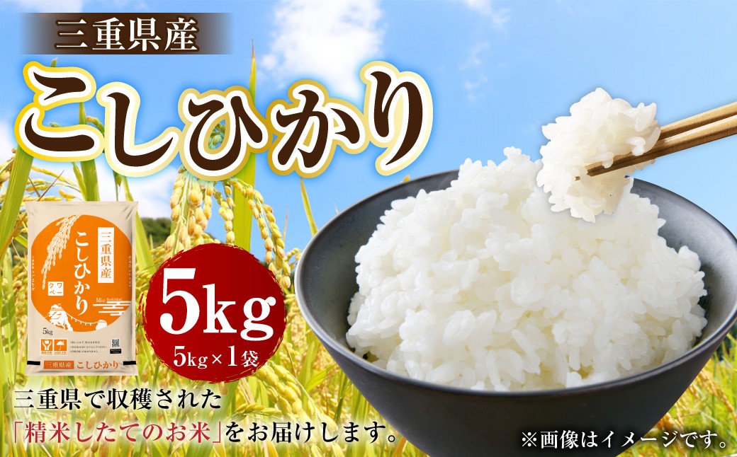 三重県産コシヒカリ 5kg×1袋