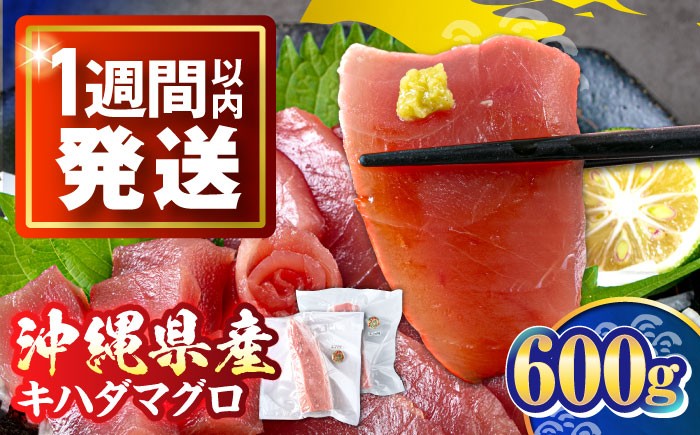 マグロ まぐろ 鮪 刺身 キハダマグロ 赤身 ブロック 小分け 柵 海鮮丼 魚介 冷凍 急速冷凍 ツナ 魚介 魚介類 さかな 魚