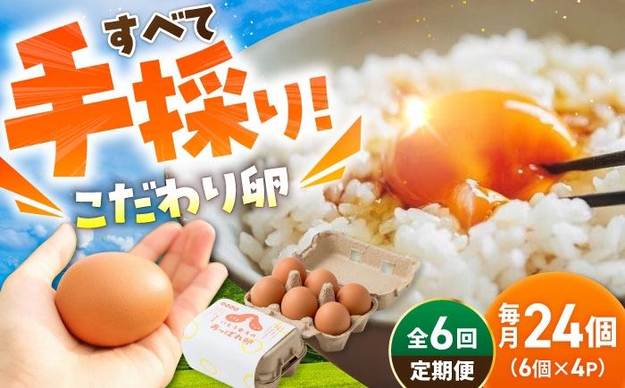 【6回定期便】いとう君ちのあっぱれ卵 24個（6個×4パック）ギフトBOX 卵 たまご パック卵 鶏卵