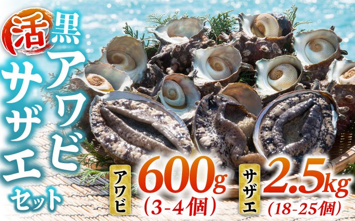 貝 サザエ アワビ  新鮮 海鮮 魚介