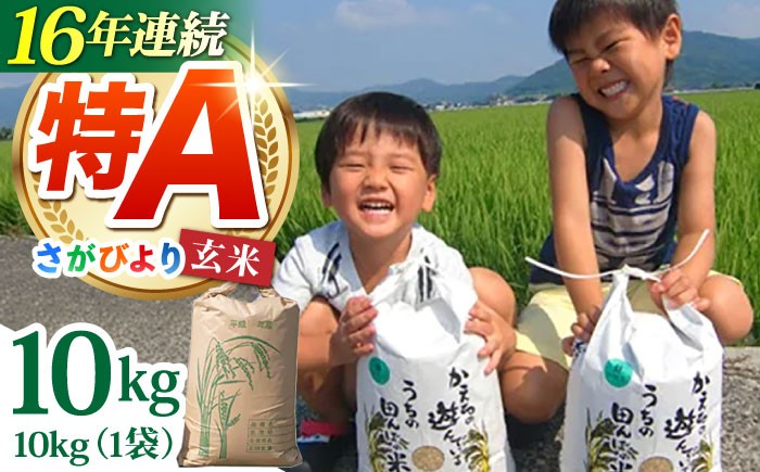 さがびより 玄米 10kg【ひなたむらのお米】 [HAC004]米 佐賀 佐賀県産 特A評価 特A米 玄米