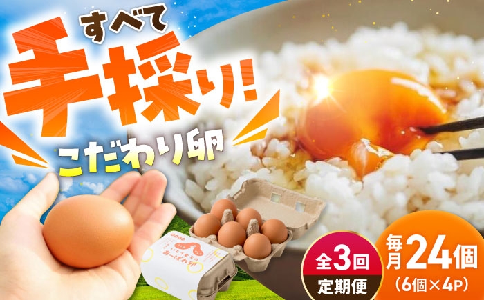 【3回定期便】いとう君ちのあっぱれ卵 24個（6個×4パック）ギフトBOX 卵 たまご パック卵 鶏卵