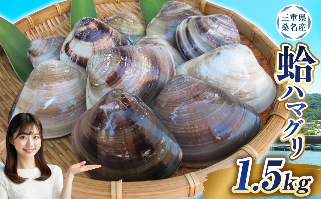 丸元水産 桑名産蛤 （ハマグリ） 1.5kg
