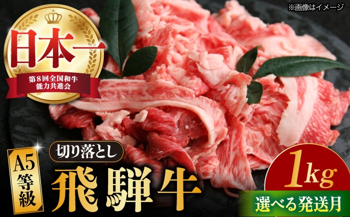 牛肉 飛騨牛 切り落とし肉 切り落とし 切り落とし牛肉 肉 和牛 きりおとし 