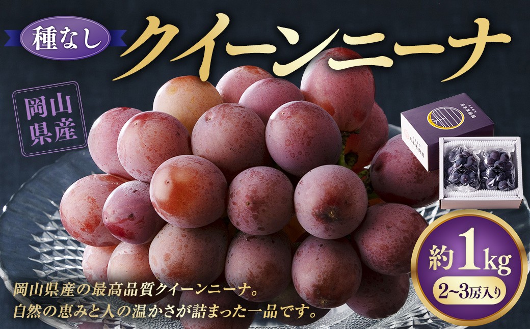 【種なし】 岡山県産 クイーンニーナ 1kg箱（2~3房房入り）
