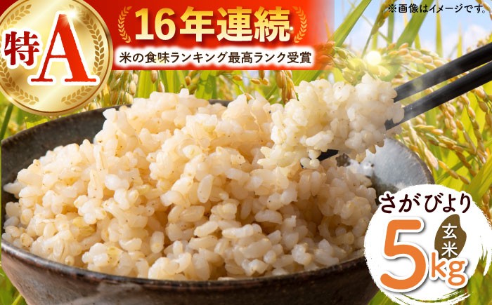 【ご飯でご飯が食べられる！】さがびより 玄米 5kg（一等米）【一九FARM】