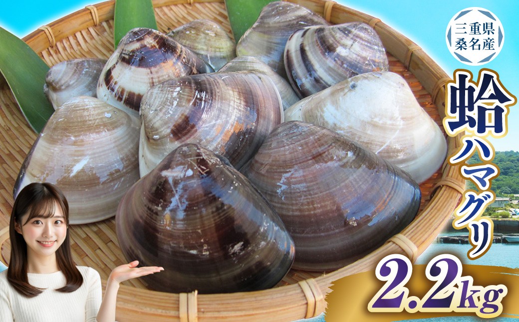 丸元水産 桑名産蛤 （ハマグリ） 2.2kg