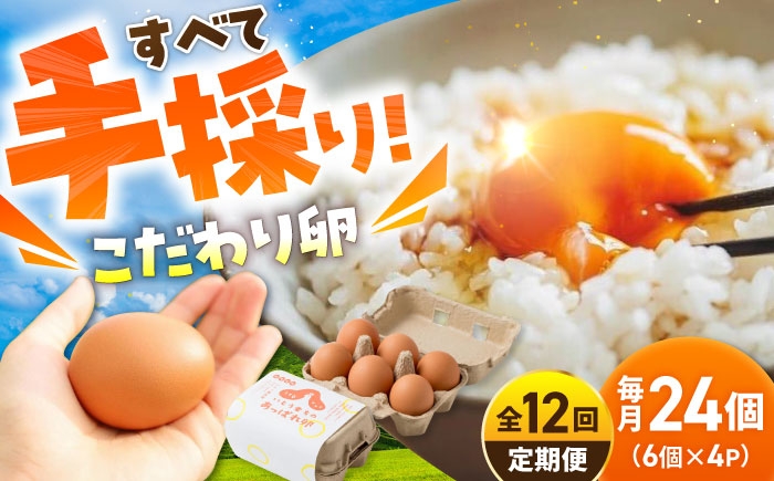 【12回定期便】いとう君ちのあっぱれ卵 24個（6個×4パック）ギフトBOX 卵 たまご パック卵 鶏卵