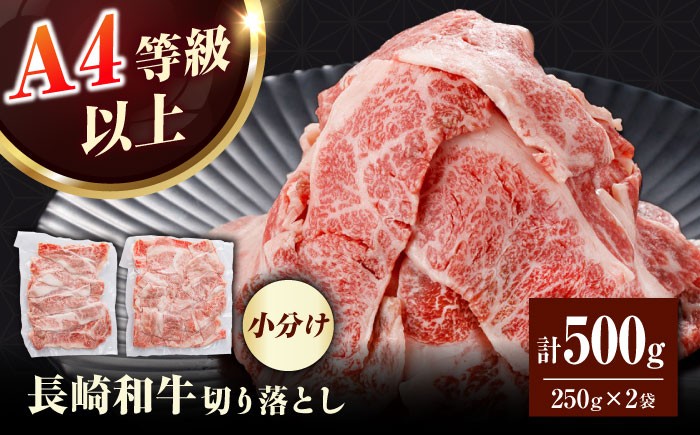 【訳あり】長崎和牛（バラ、モモ、肩ロースのいずれか）500g 切り落とし 250g×2P