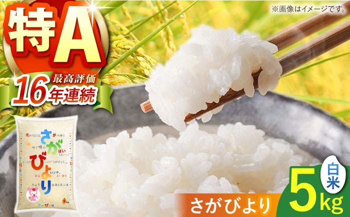 さがびより 白米 5kg  [HCM013] 米 お米 米 精米 はくまい こめ さがびより 米10kg 精米 ブランド米 特A