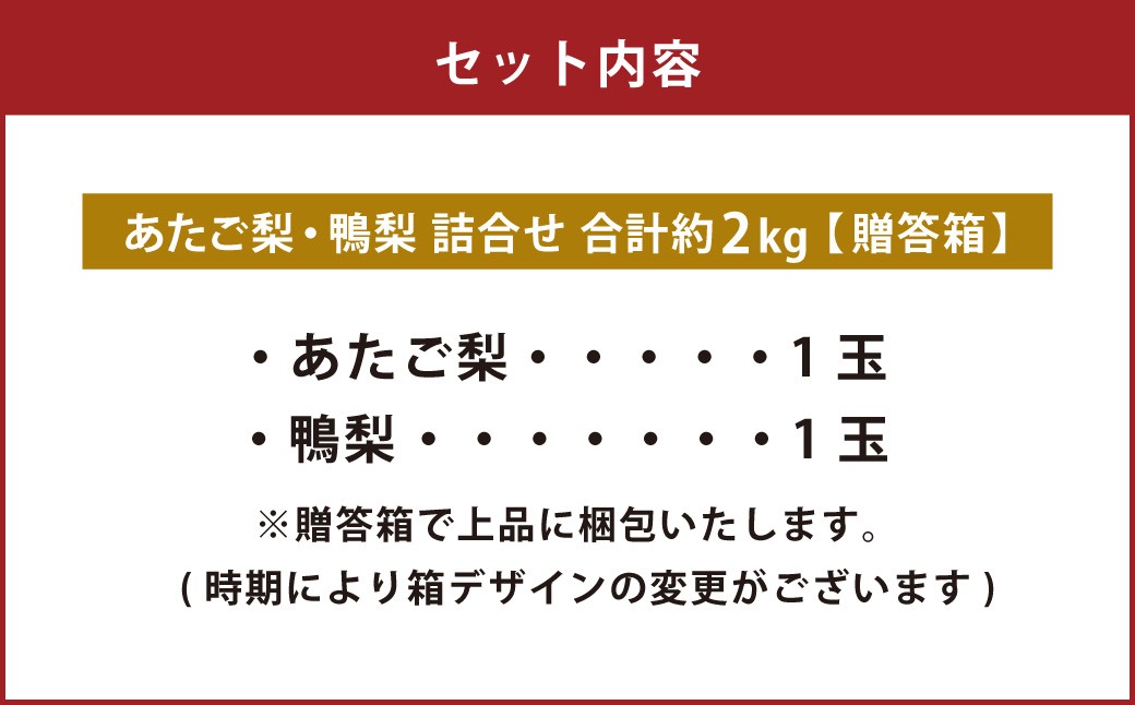 あたご梨・鴨梨（ヤーリー）詰合せ 2玉 合計約2kg 贈答箱