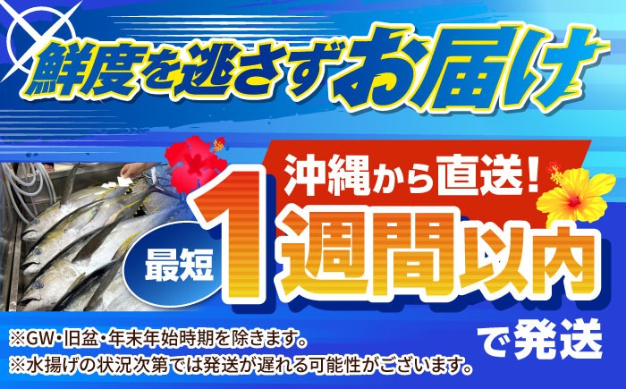 マグロ まぐろ 鮪 刺身 キハダマグロ 赤身 ブロック 小分け 柵 海鮮丼 魚介 冷凍 急速冷凍 ツナ 魚介 魚介類 さかな 魚