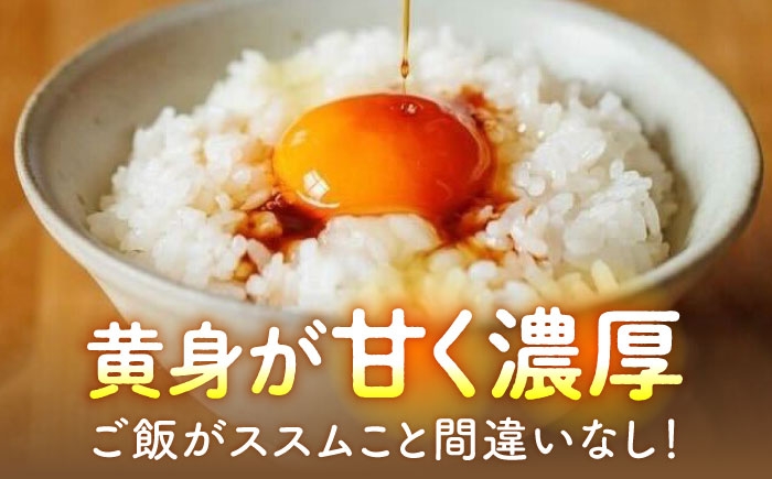 【6回定期便】いとう君ちのあっぱれ卵 24個（6個×4パック）ギフトBOX 卵 たまご パック卵 鶏卵