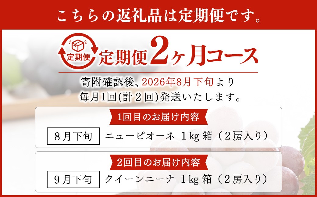 【定期便2回】 ［種なし］ 岡山県産 ニューピオーネ ・ クイーンニーナ 1kg箱（2房入り）