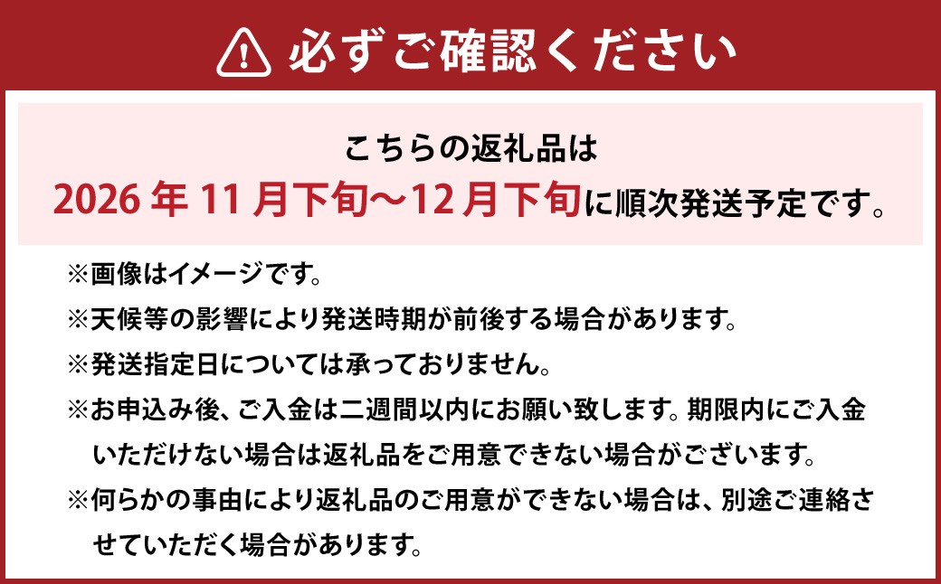 鴨梨（ヤーリー）2玉 贈答箱 梨