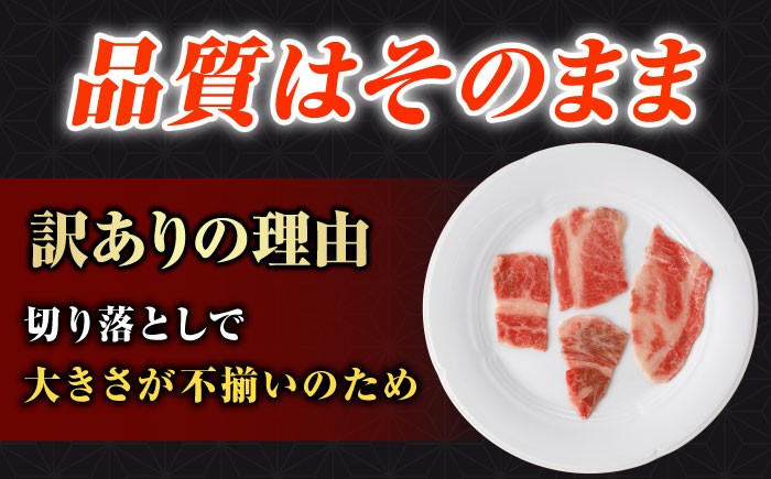 【訳あり】長崎和牛（バラ、モモ、肩ロースのいずれか）500g 切り落とし 250g×2P