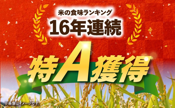 【ご飯でご飯が食べられる！】さがびより 白米 5kg（一等米）【一九FARM】