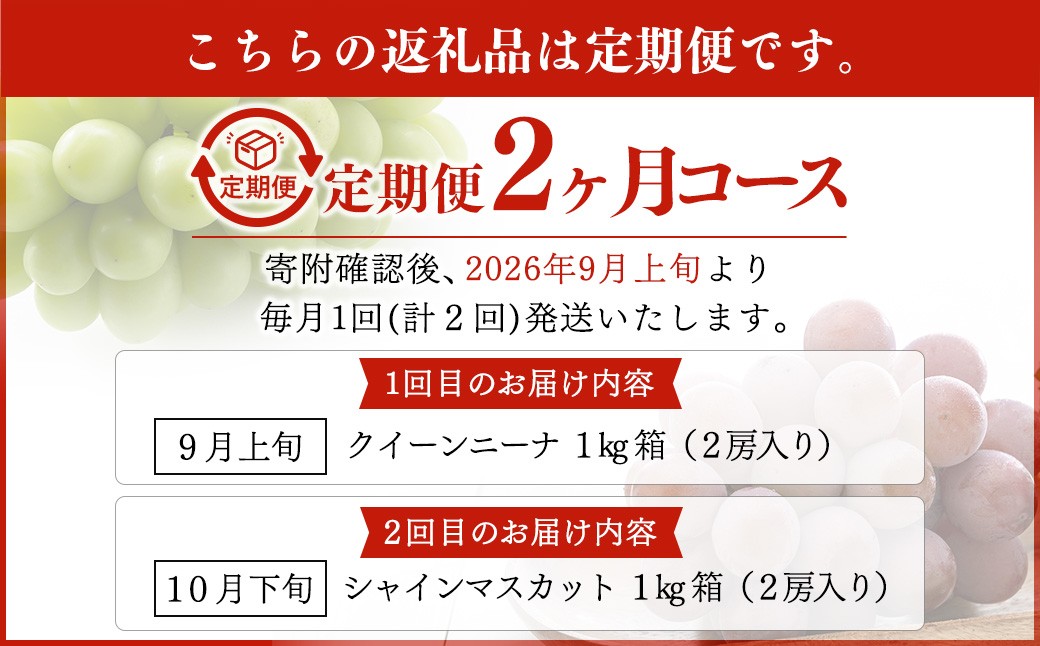 【定期便2回】 ［種なし］ 岡山県産 クイーンニーナ ・ シャインマスカット 1kg箱（2房入り） 