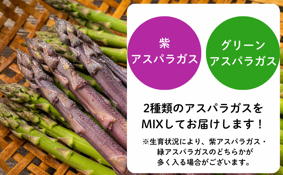 早朝に収穫したアスパラガスをその日のうちに発送、農家直送でお届けします！
