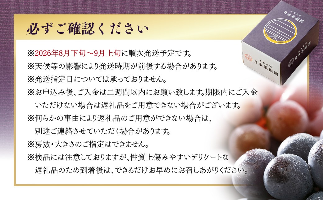 【種なし】 岡山県産 ニューピオーネ ・ クイーンニーナ MIX 1kg箱（各1房ず）