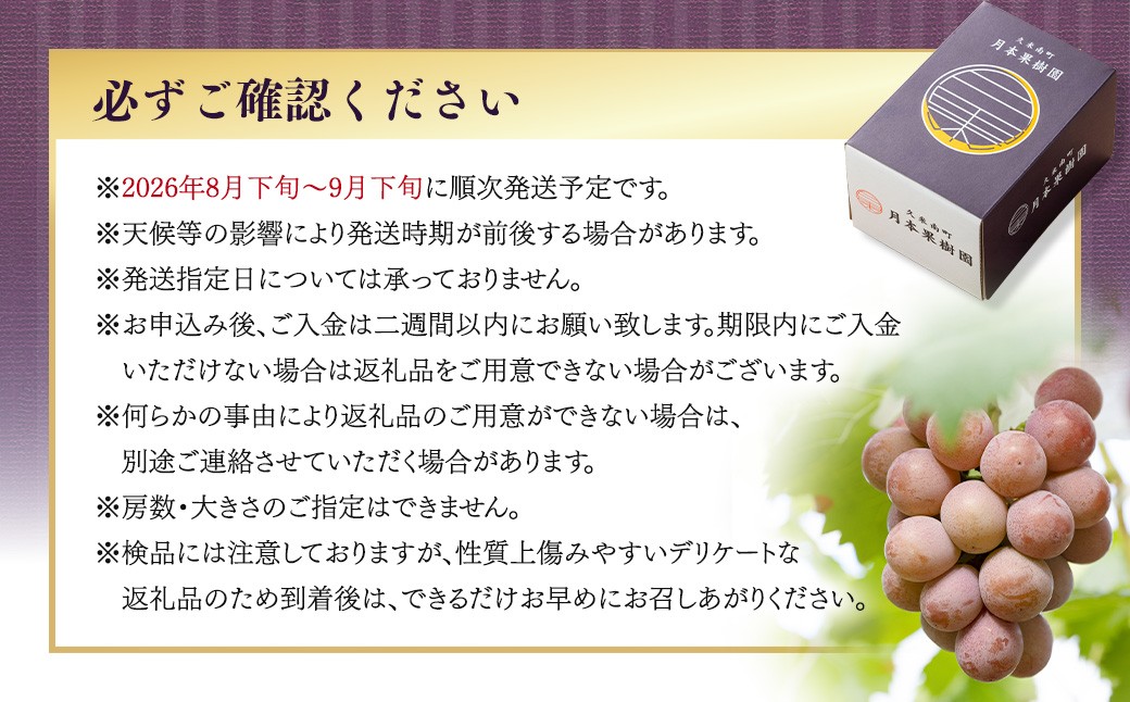 《種なし》岡山県産 クイーンニーナ 1房（約600g）