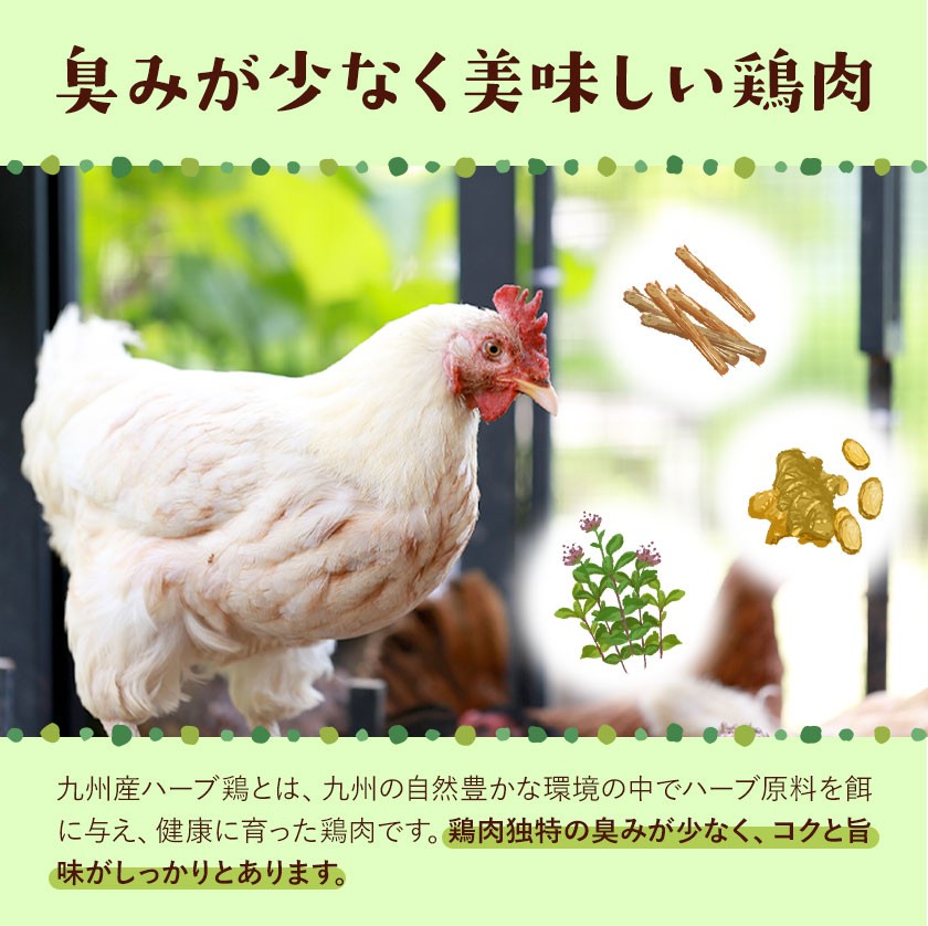 九州産 ハーブ鶏 もも肉 2.5kg 国産 鶏肉 モモ肉 お肉