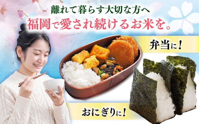 お米 ブランド米 ご飯 ごはん 米 お米 おこめ 弁当 お弁当 お米 白米 県産米 国産米 精米 新生活 お祝い ギフト 仕送り