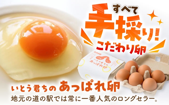 【6回定期便】いとう君ちのあっぱれ卵 24個（6個×4パック）ギフトBOX 卵 たまご パック卵 鶏卵