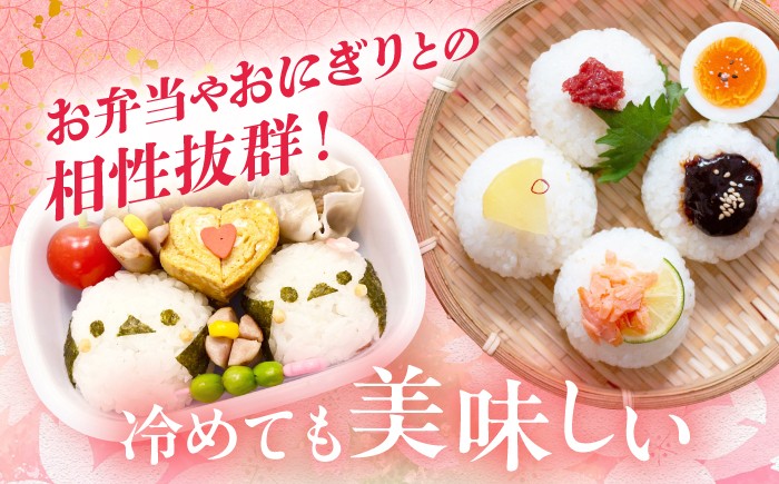 なつほのか 白米 5kg 定期便 / 長崎県 波佐見町 米 お米 白米 精米 3回定期便