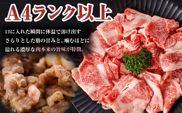 【訳あり】長崎和牛（バラ、モモ、肩ロースのいずれか）500g 切り落とし 250g×2P
