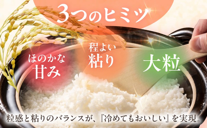 なつほのか 白米 5kg / 長崎県 波佐見町 米 お米 白米 精米