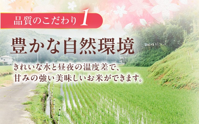 なつほのか 白米 5kg / 長崎県 波佐見町 米 お米 白米 精米