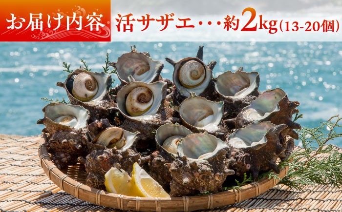 人気 新鮮 海鮮 特産品 贈り物 ギフト 魚介 ごはんの