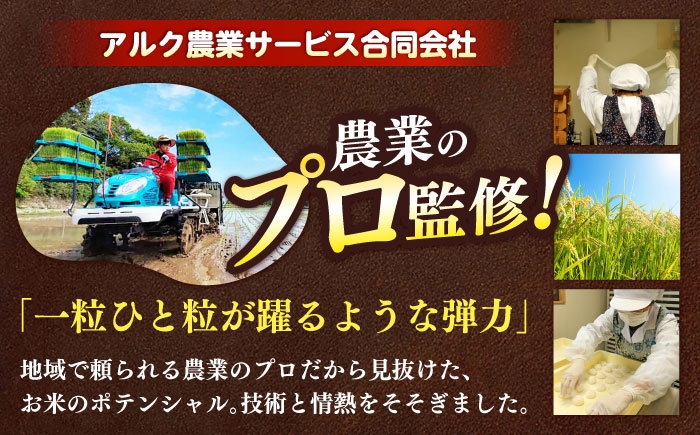 お米 ブランド米 ご飯 ごはん 米