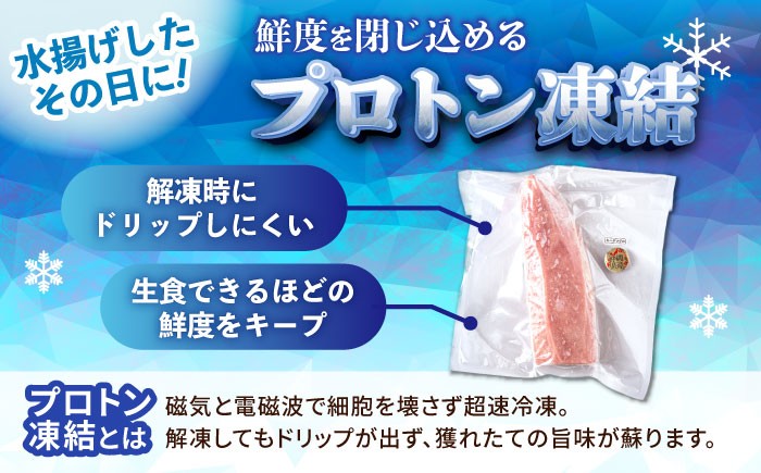 マグロ まぐろ 鮪 刺身 キハダマグロ 赤身 ブロック 小分け 柵 海鮮丼 魚介 冷凍 急速冷凍 ツナ 魚介 魚介類 さかな 魚