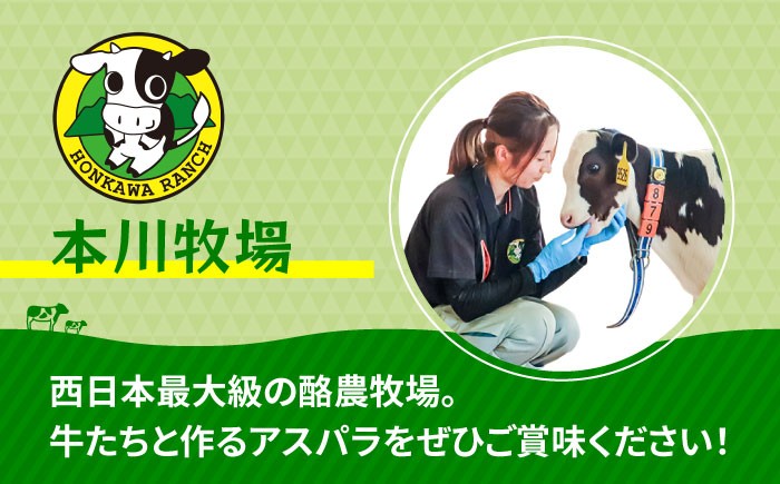 アスパラガス アスパラ 野菜 やさい 期間限定 食べ比べ