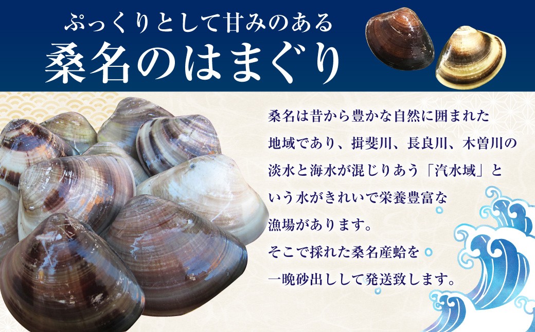 丸元水産 桑名産蛤 （ハマグリ） 1.1kg