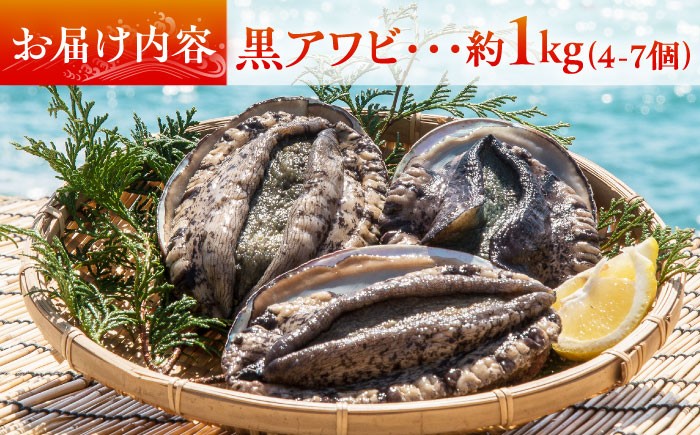 人気 うに ウニ 雲丹  新鮮 海鮮 特産品 贈り物 ギフト   魚介 ごはんの