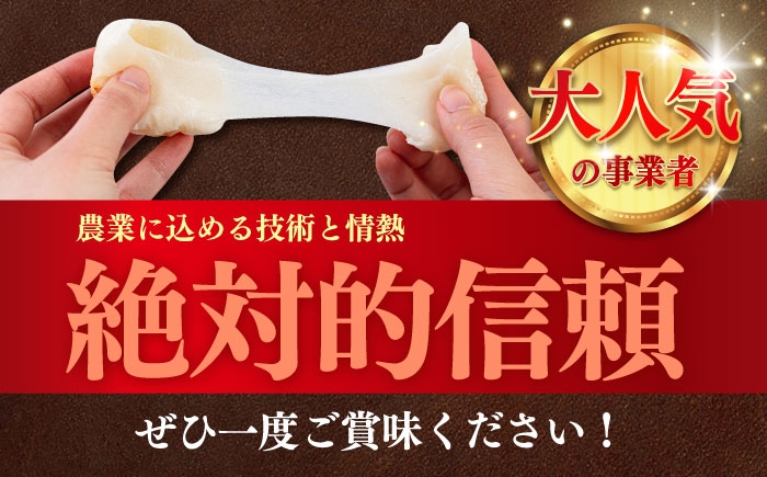 お米 ブランド米 ご飯 ごはん 米 お米 おこめ 弁当 お弁当 お米 白米 県産米 国産米 精米 新生活 お祝い ギフト 仕送り