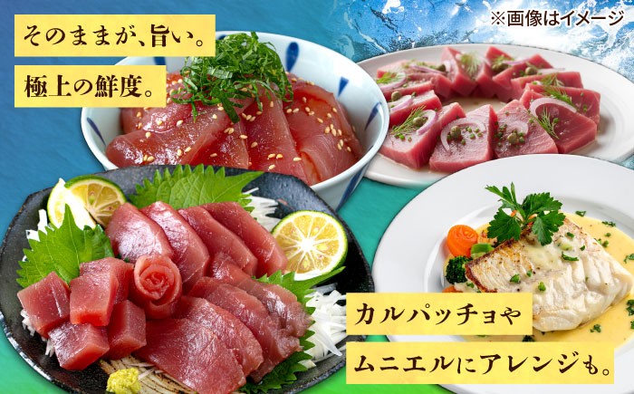 マグロ まぐろ 鮪 刺身 キハダマグロ 赤身 ブロック 小分け 柵 海鮮丼 魚介 冷凍 急速冷凍 ツナ 魚介 魚介類 さかな 魚