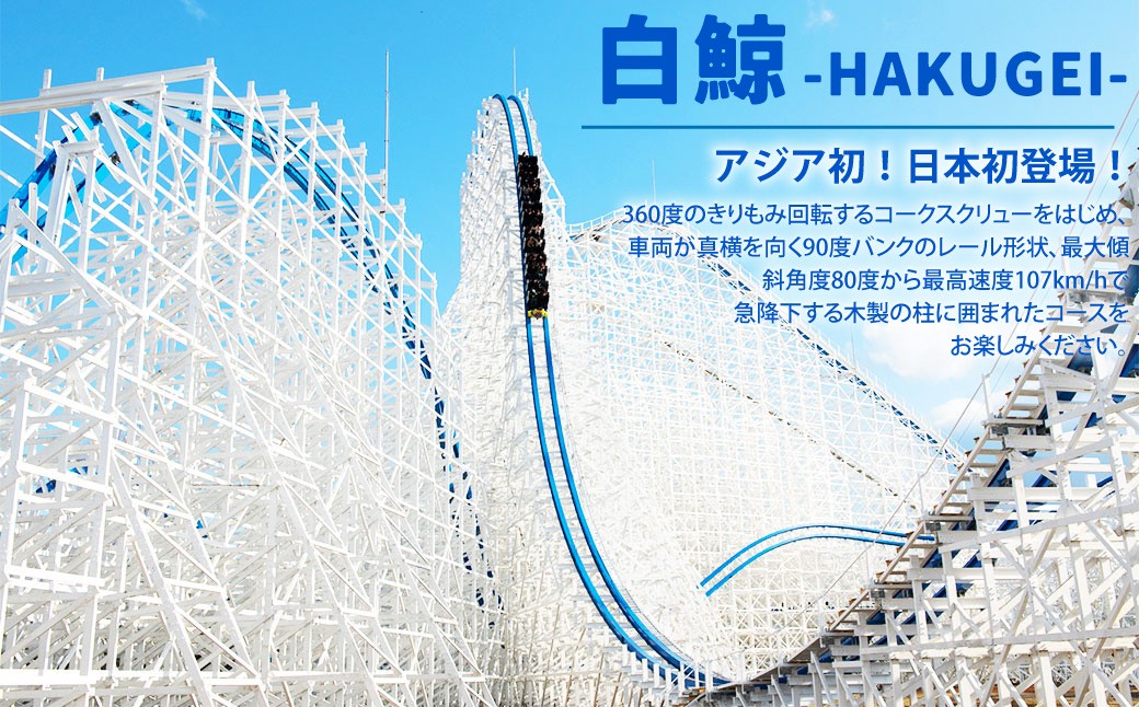 ナガシマ リゾート ナガシマ スパーランド パスポート券  大人2名 【有効期限有り】