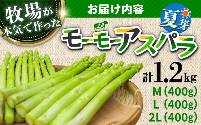 アスパラガス アスパラ 野菜 やさい 期間限定 食べ比べ