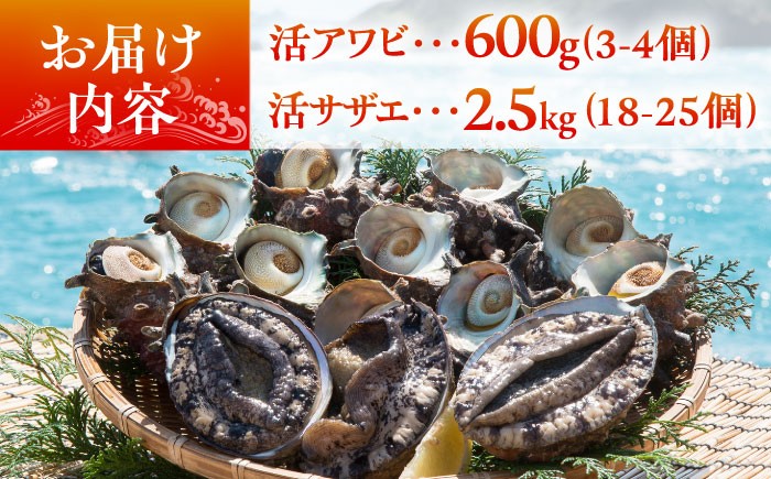 人気 うに ウニ 雲丹  新鮮 海鮮 特産品 贈り物 ギフト   魚介 ごはんの