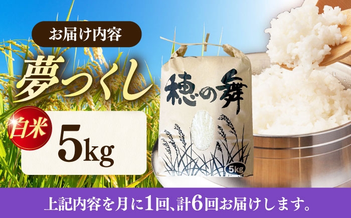 お米 ブランド米 ご飯 ごはん 米